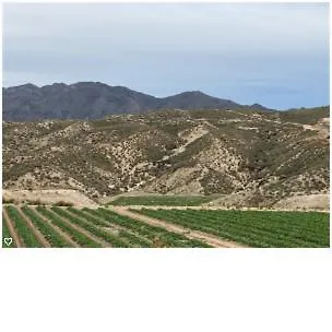 Aprt Golf Resort Desert Springs, Vera, Almeria Spain